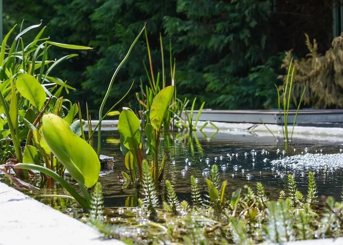 Romance Studio-steps From Thesea فارنا